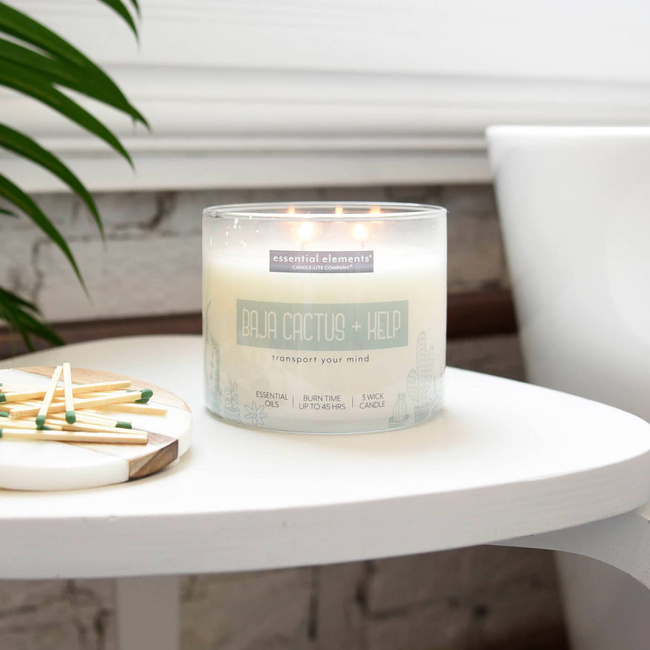 Bougie parfumée soja naturel aux huiles essentielles Candle-lite 418 g - Cactus et Algues Baja Cactus & Kelp