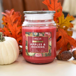 Candela profumata naturale Candle-lite Everyday 510 g - Apples Acorns
