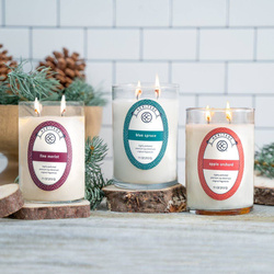 Soy scented candle Blue Spruce Colonial Candle 