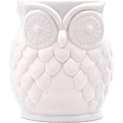 Brucia essenze Owl Bianco ceramica gufo