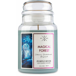 Bougie parfumée de soja en verre Purple River 623 g - Magical Forest