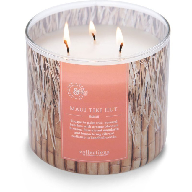 Colonial Candle Travel grande bougie parfumée au soja 3 mèches 411 g - Maui Tiki Hut