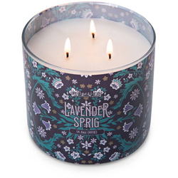 Colonial Candle Deco Collection soy scented candle in glass 3 wicks 14.5 oz 411 g - Lavender Sprig