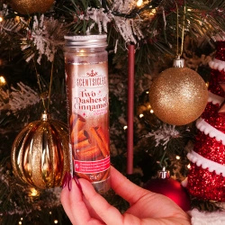 Scentsicles geurstokjes voor in de kerstboom kaneel 6 stuks - Two Dashes Of Cinnamon