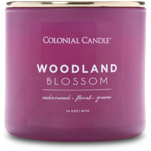 Colonial Candle Pop Of Color kvapioji sojų pupelių žvakė stiklinėje 3 dagčiai 14,5 uncijos 411 g - Woodland Blossom